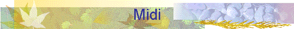 Midi