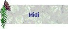 Midi