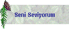 Seni Seviyorum