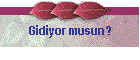 Gidiyor musun?