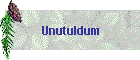 Unutuldum