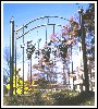 wrought iron fence and gate