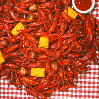 Mess of crawfish!