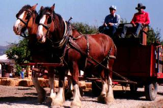 An old-fashioned wagon ride.