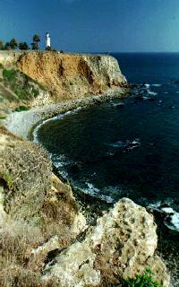 A favorite whale watching spot