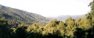 Cades Cove