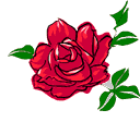 rose