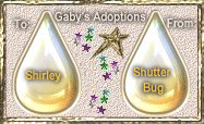 Gaby's Adoptions