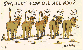 How old are you?