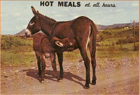 Hot meals