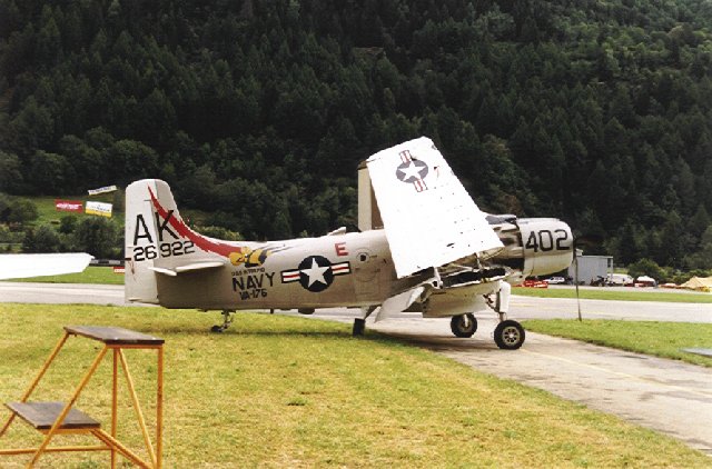 AmbriSkyraider.jpg (72593 bytes)