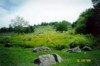 Little Round Top From Devil's Den