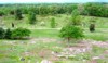 Looking Down From Little Round Top