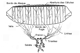 Paraglider e Selete