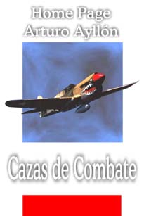 Entrar a Cazas de Combate