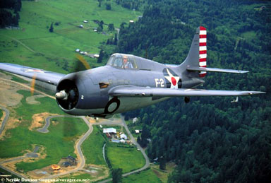 Wildcat F4F (color)