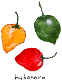 habanero.gif (12450 bytes)