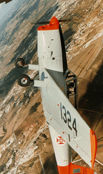 DHC-1 Chipmunk 1324 in flight (Munkelt Gonalves via F.Ramos)