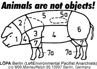 Animals are not objects!