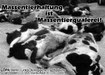 Massentierhaltung ist Massentierquälerei!