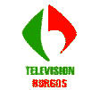 Televisin Burgos