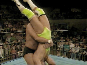 Bart Gunn vs. Ted Dibiase