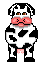 cow