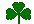 tiny shamrock