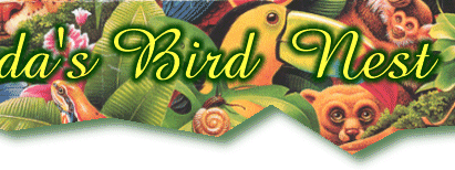 Lcolada's Bird Nest-All about tropical birds!