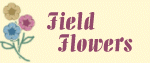 Field Flowers