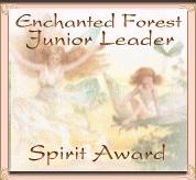 Spirit Award