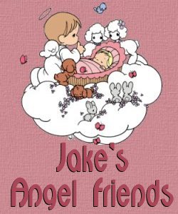 Jake's Angel Friends