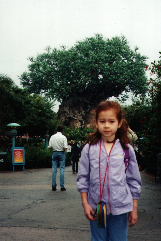 Animal Kingdom tree of life