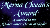 Merna Ocean's Award