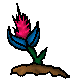 A Special Bloom Sprout from The Mardesos Cove