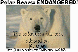 Adopt a Polar Bear at the Polar Page!