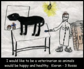 Kieran's Vet