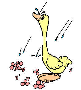 duck