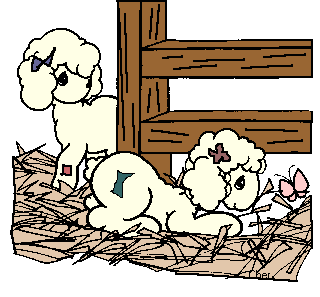 lambs