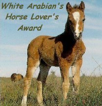 White Arabian's Horse Lover's Award