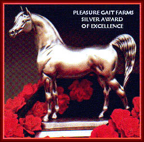 Silver Award Of Excellence