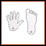 Hands and Feet Instructions