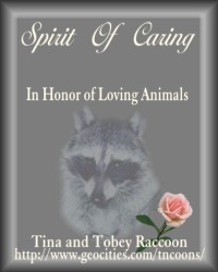 Spirit of Caring Award