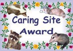 Caring Site Award