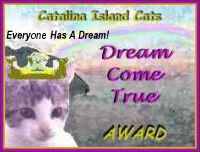 Catalina Island Cats Dream Come True Award