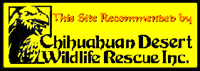 Chihuahuan Desert Wildlife Rescue