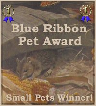 Petsburgh Blue Ribbon Award