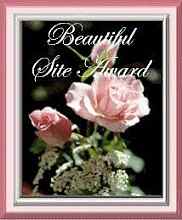 Beautiful Site Award