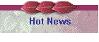 Hot News