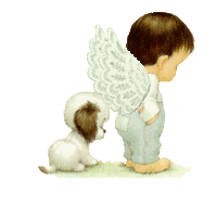 boy/Angel